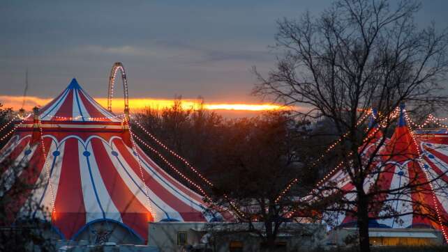 Urteil: Gericht legt Gema-Gebühren für Zirkus fest