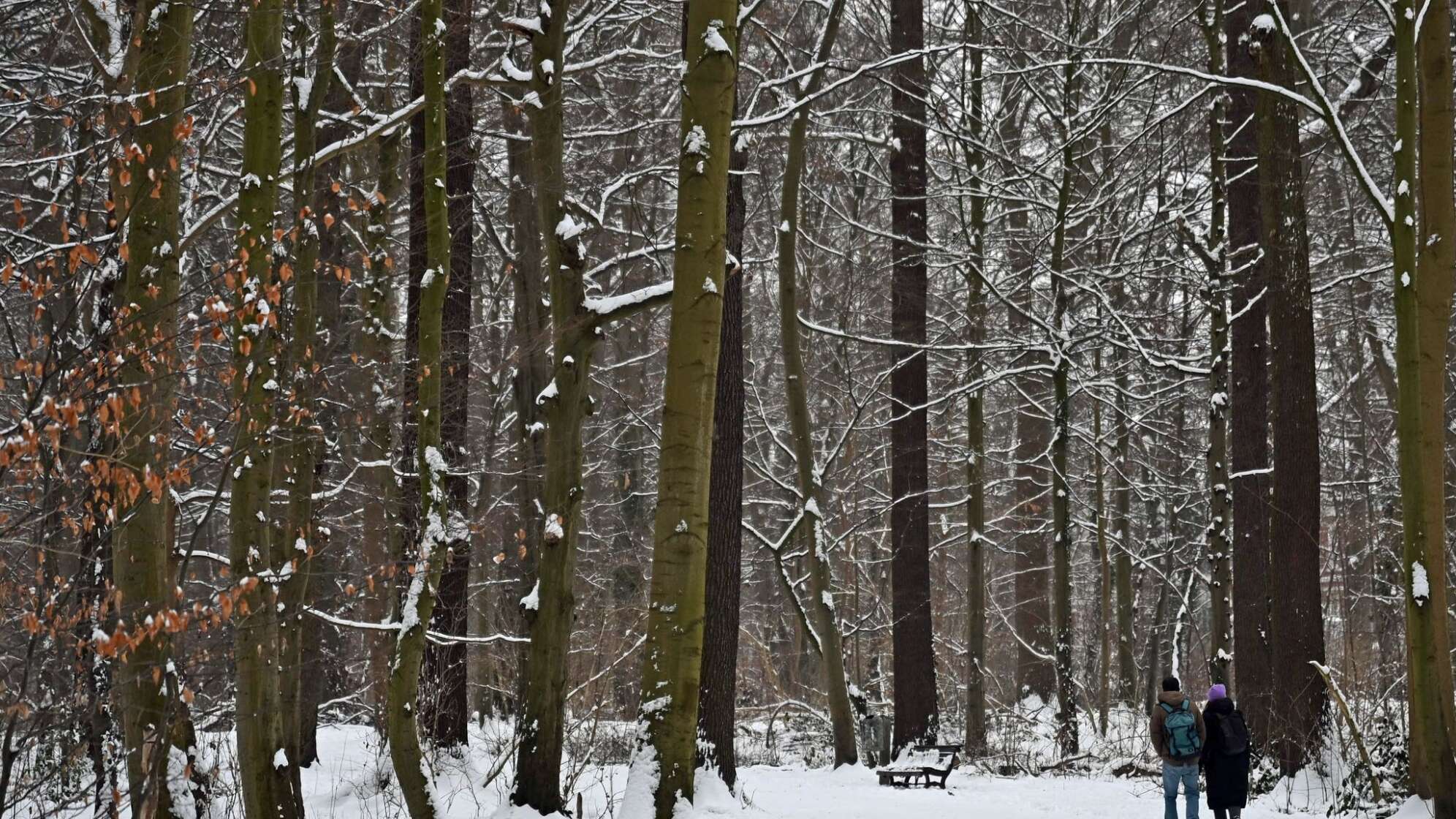Winterwetter in Deutschland - Hannover