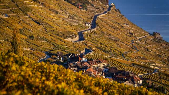 Schweizer Politiker will Promillegrenze im Kantonsparlament