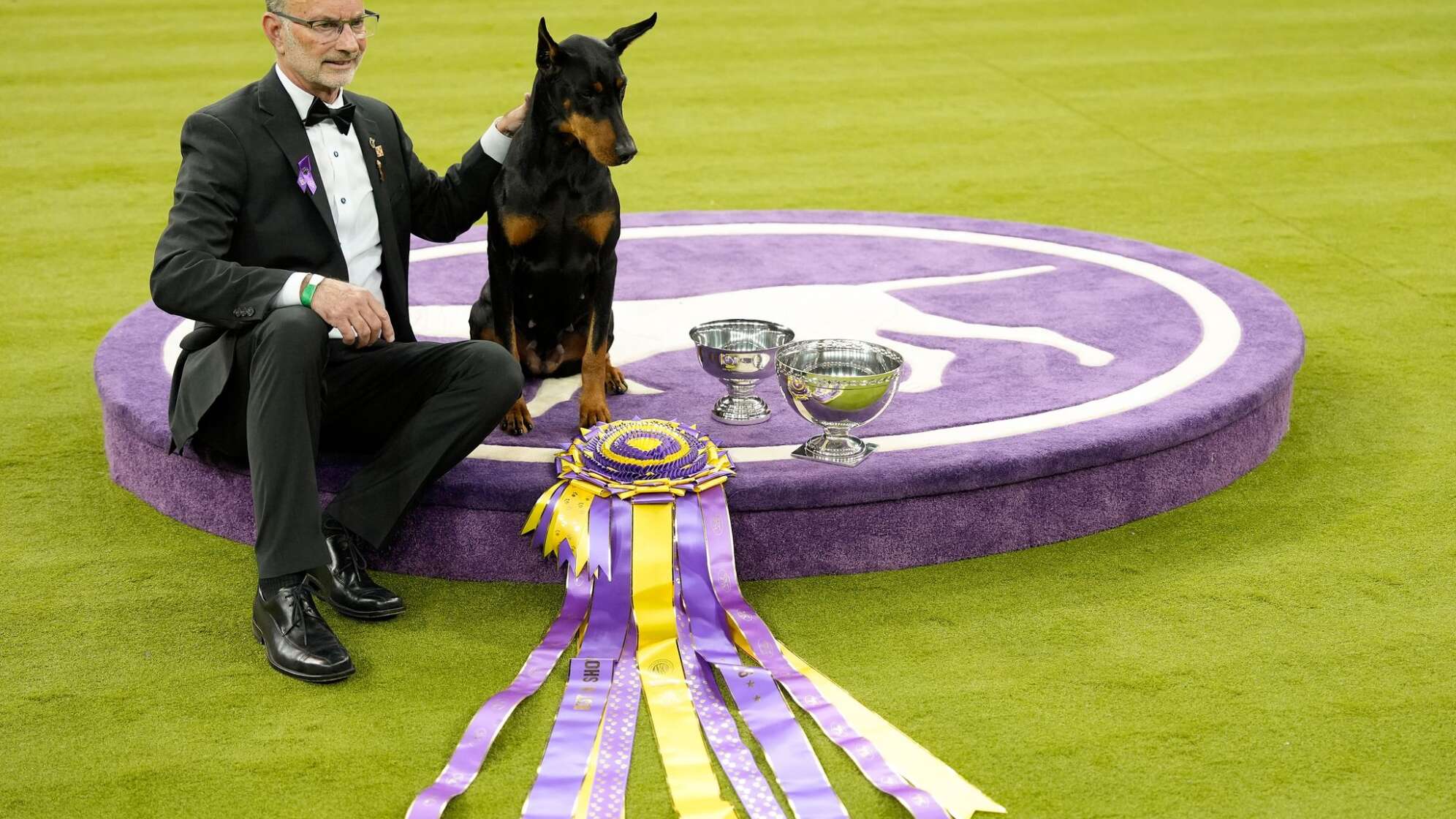 Hundeausstellung Westminster Kennel Club Dog Show in USA