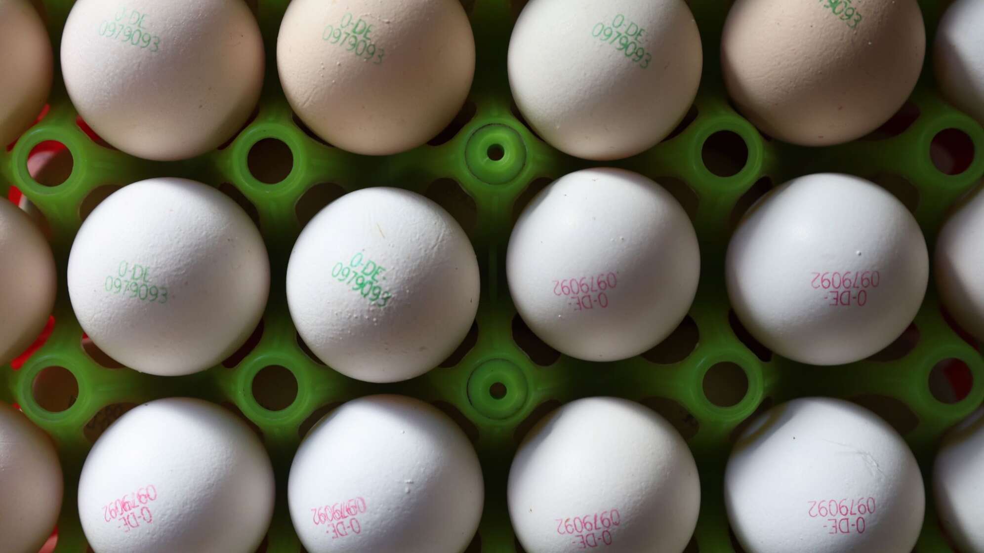 Weniger Bio-Anbau in Bayern trotz hoher Nachfrage