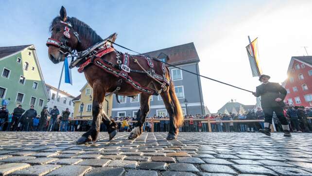 Viele Schaulustige beim Berchinger Rossmarkt