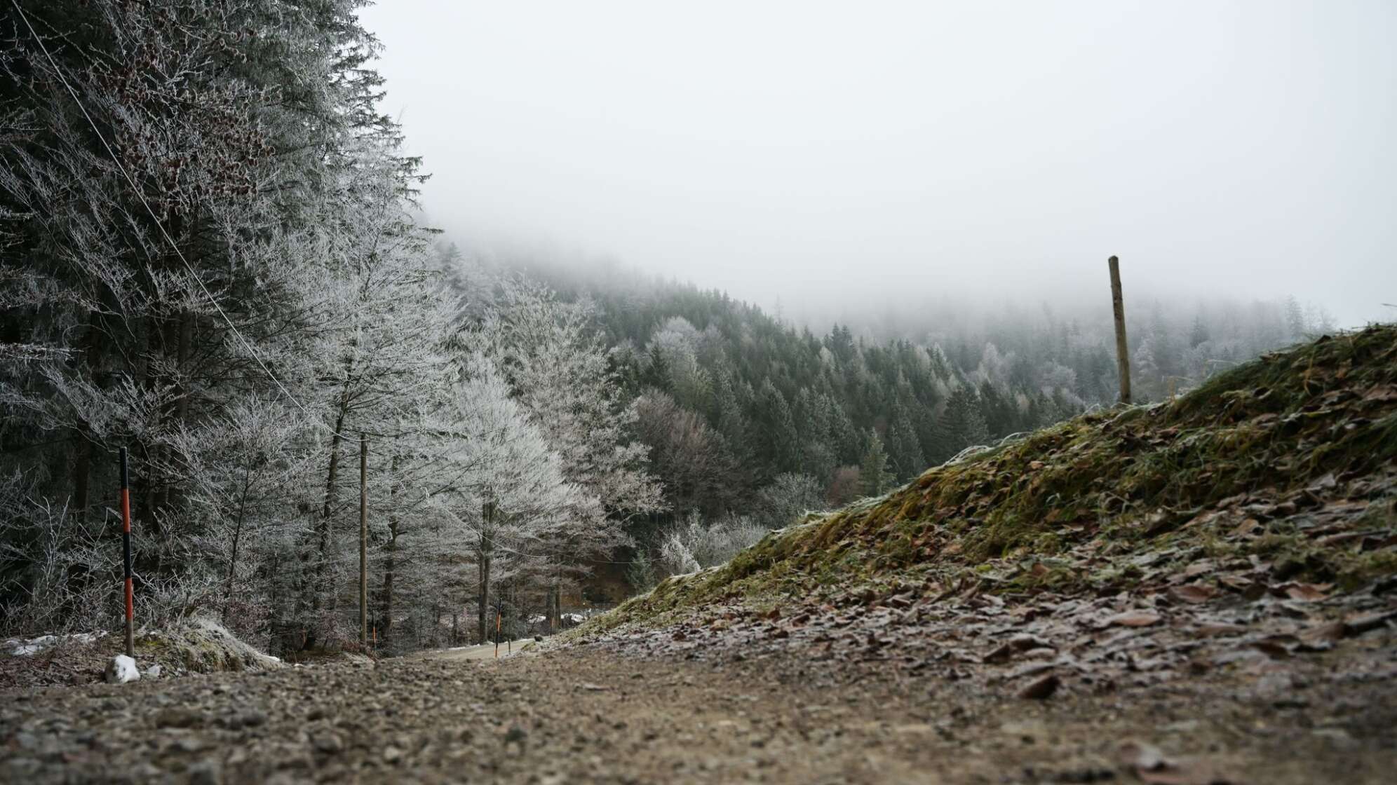 Winterwetter in Bayern