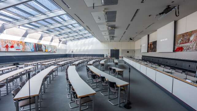 Kein Anspruch auf «Silbermedaille» – AfD verliert Saalstreit