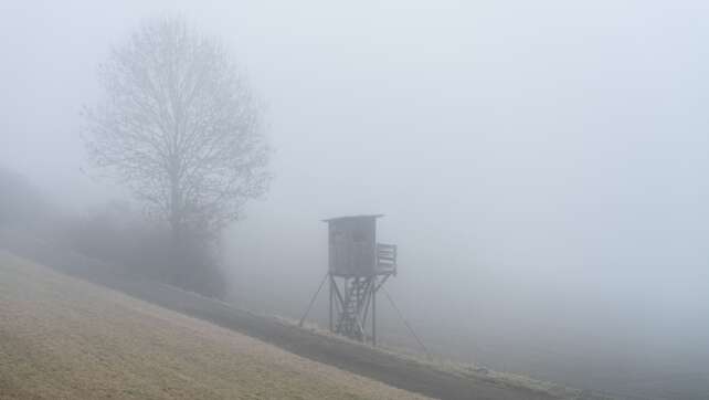 Woche endet trüb - Wo es am Wochenende sonnig ist