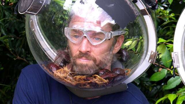 Erst Skandal, nun Krone: Gil Ofarim gewinnt im Dschungelcamp