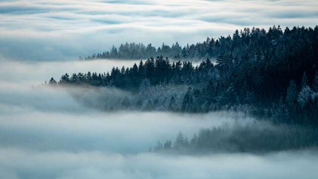 Trotz Wirtschaftsflaute Tourismusrekord in Bayern