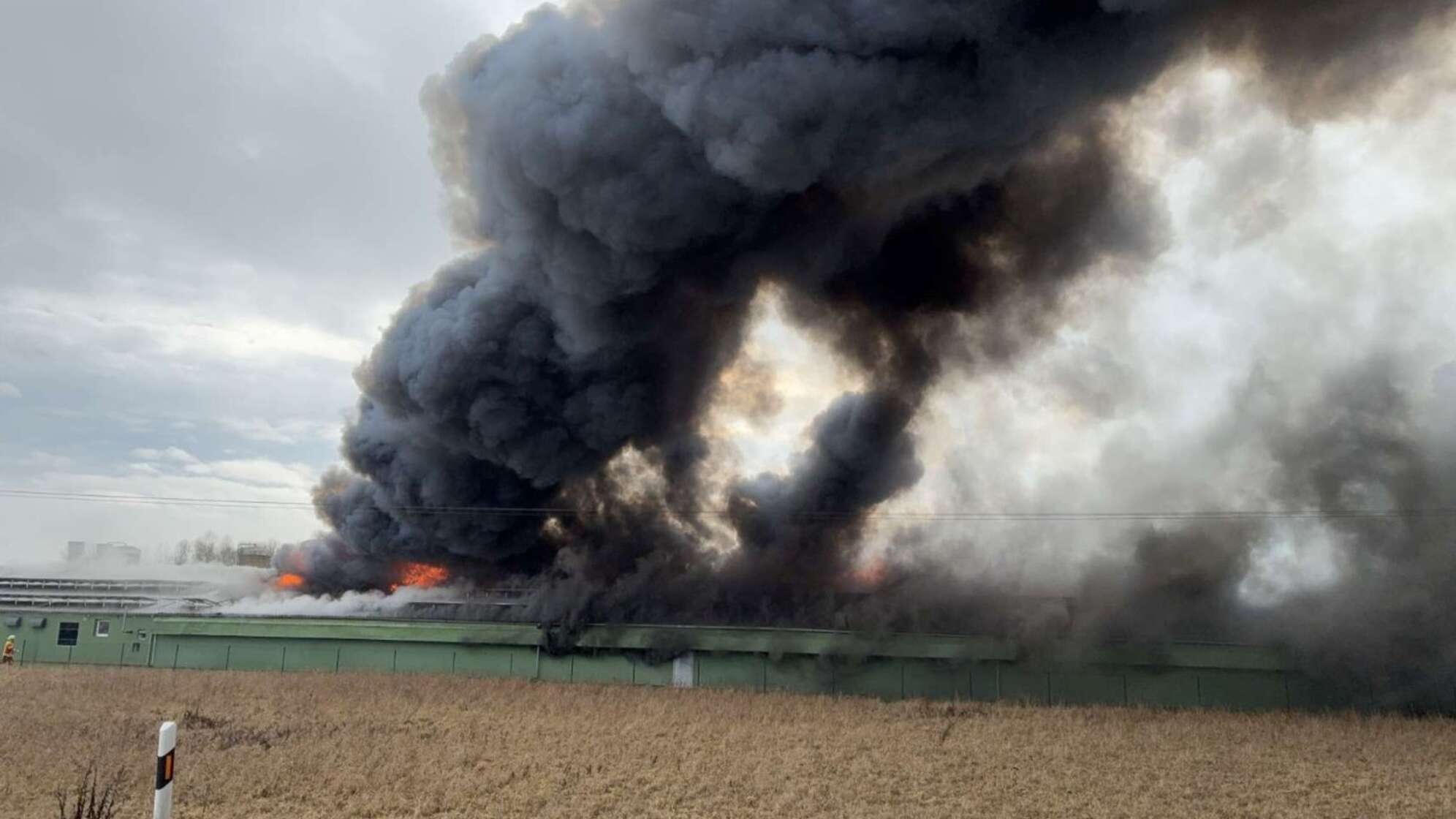 Hühnerstall in Flammen - rund halbe Million Euro Schaden