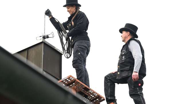 Fast die Hälfte der Feuerstätten in Bayern mit Biomasse