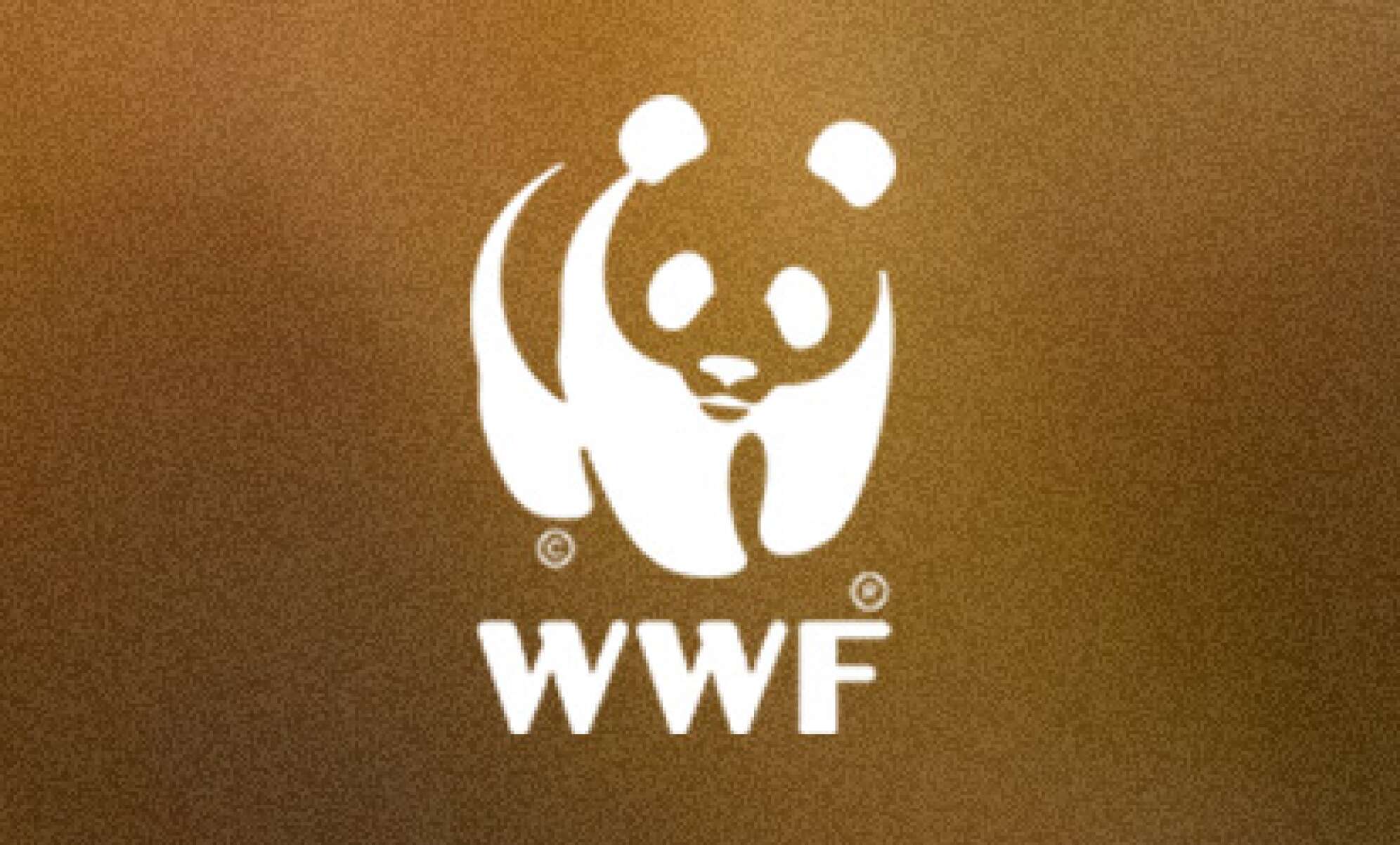 WWF