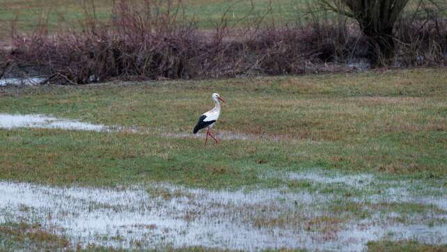 Der Frühling naht in Bayern