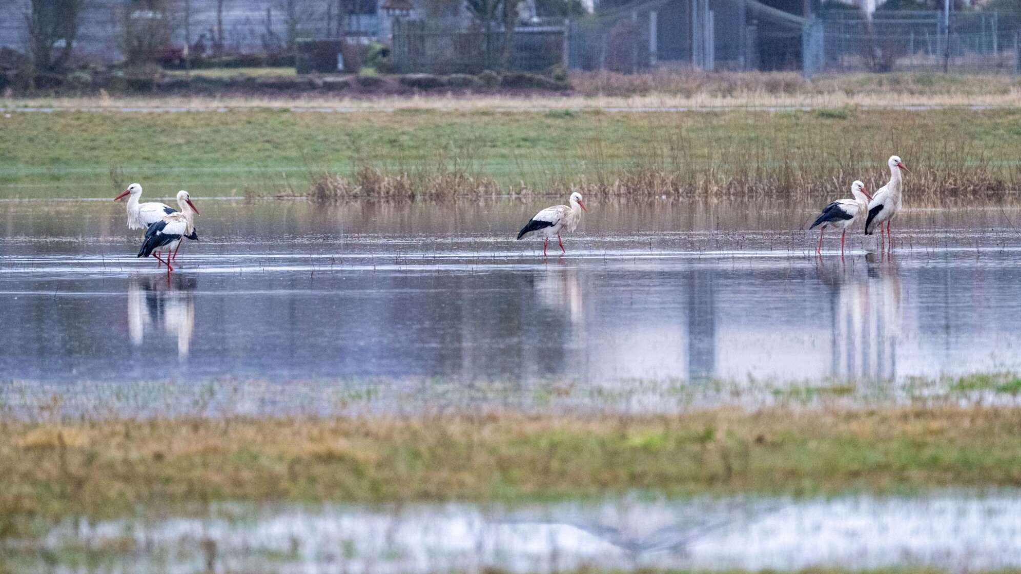 Hochwasser in Bayern