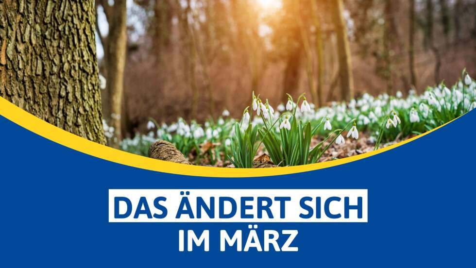 Das ändert sich im März 2026: Die wichtigsten Neuerungen für Bayern