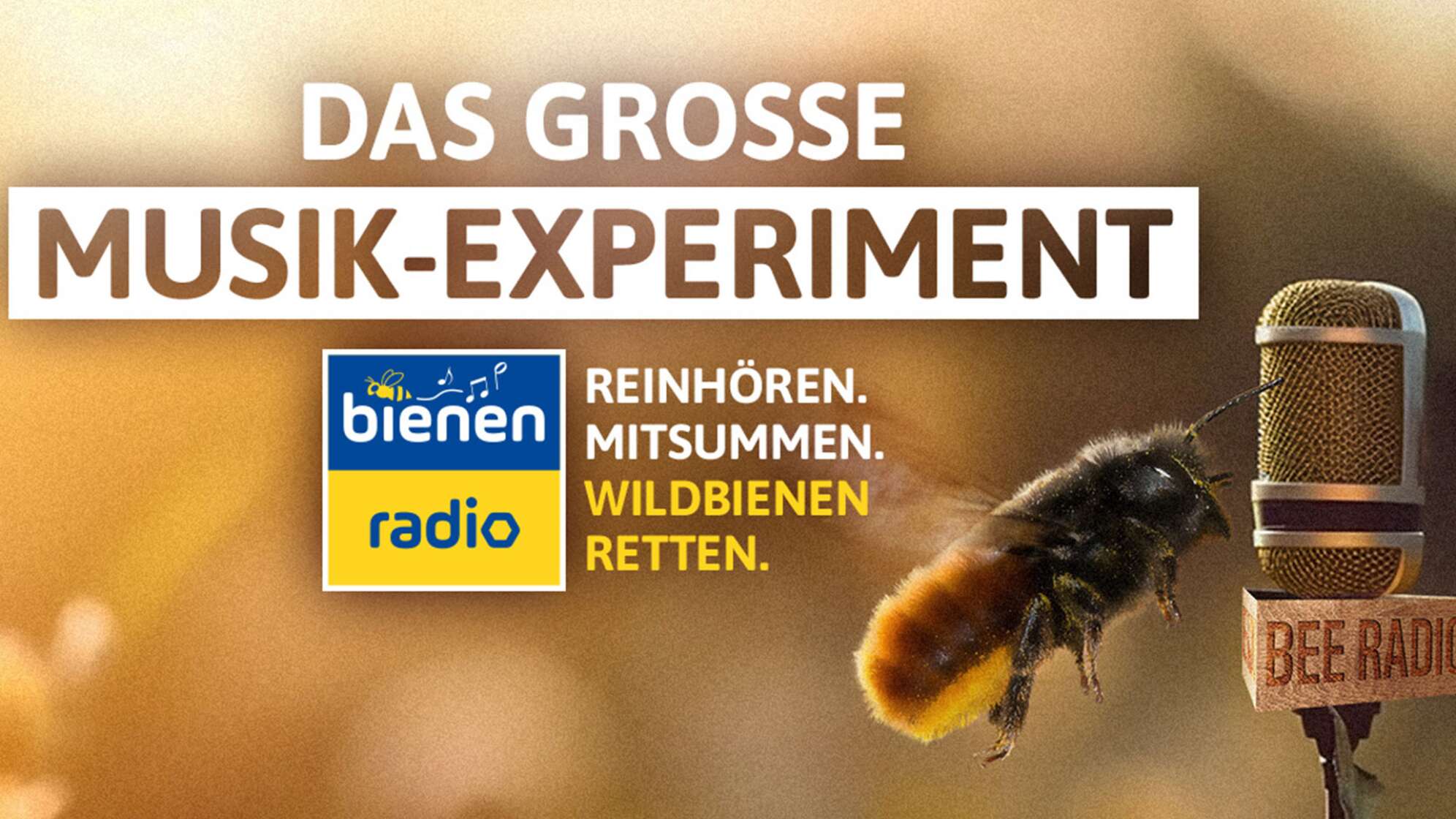 Das ANTENNE BAYERN Bienenradio