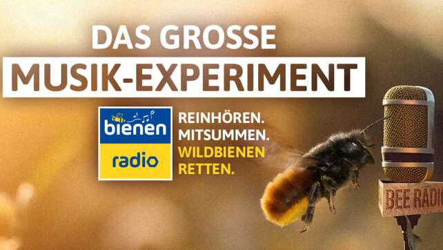 WWF und ANTENNE BAYERN präsentieren das ANTENNE BAYERN Bienenradio