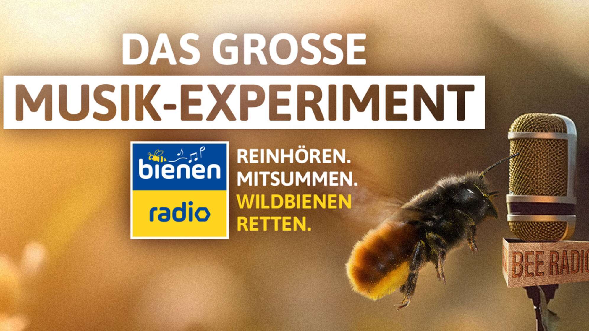 Das ANTENNE BAYERN Bienenradio