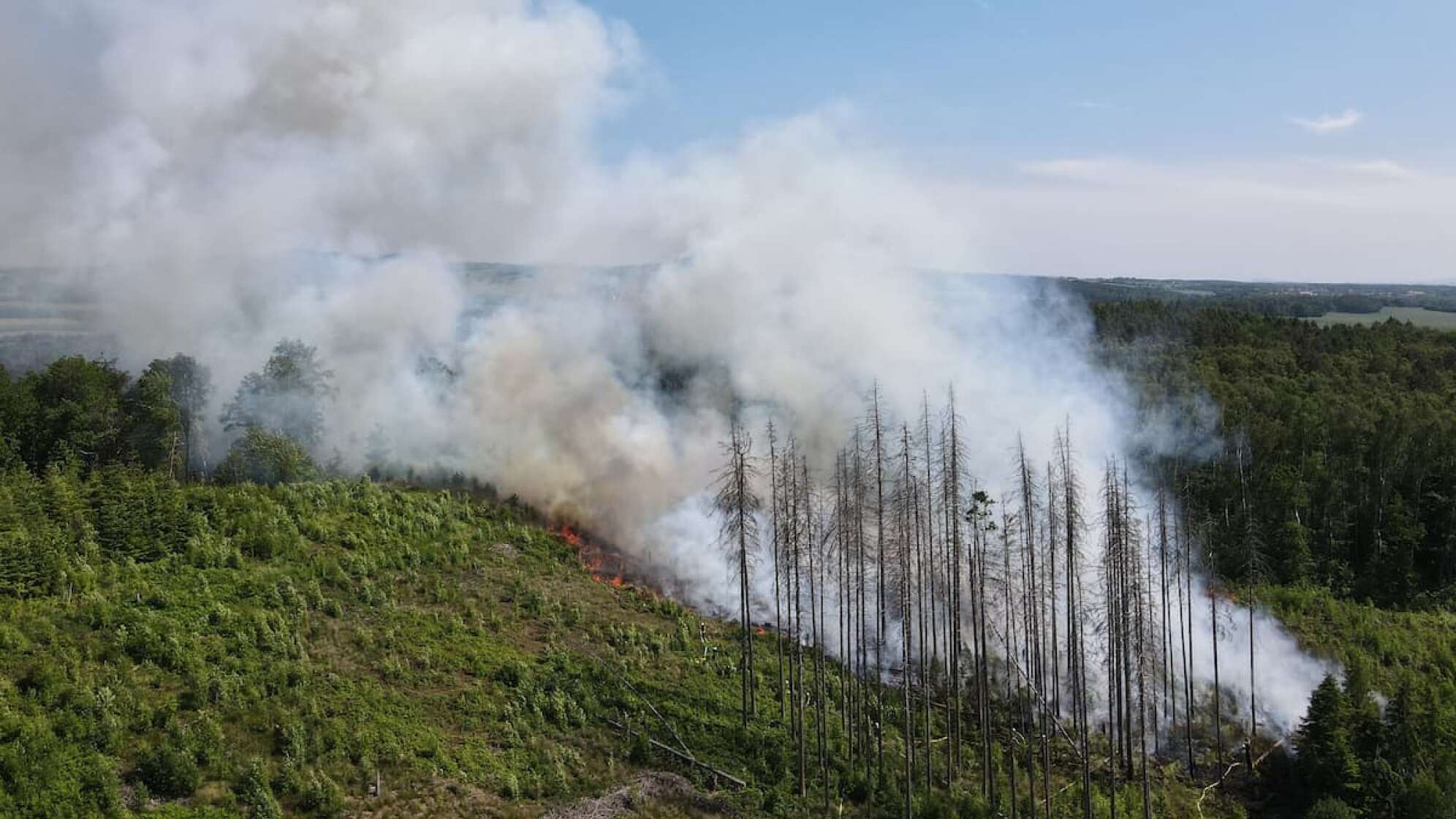 Waldbrand in Pulsitz Sachsen