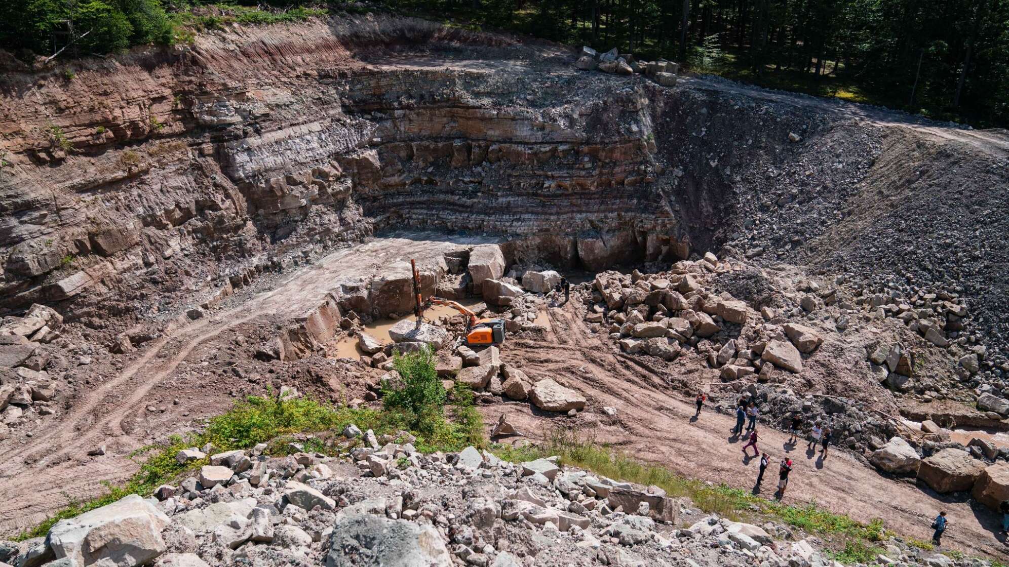 Unterkiefer eines 230 Millionen Jahren alten Sauriers entdeckt