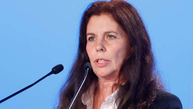 AfD Niedersachsen: Parteiverfahren gegen Europaabgeordnete