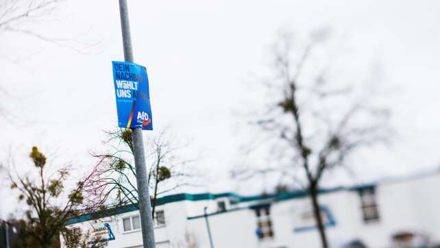 20 Prozent plus x? Darum ist die AfD im Südwesten so stark