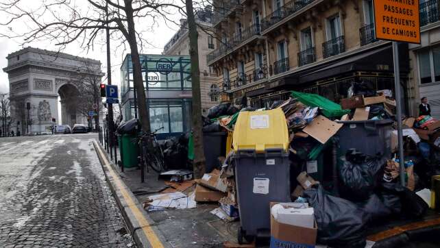 Wahlkampf in Paris - Millionen Ratten sorgen für Streit
