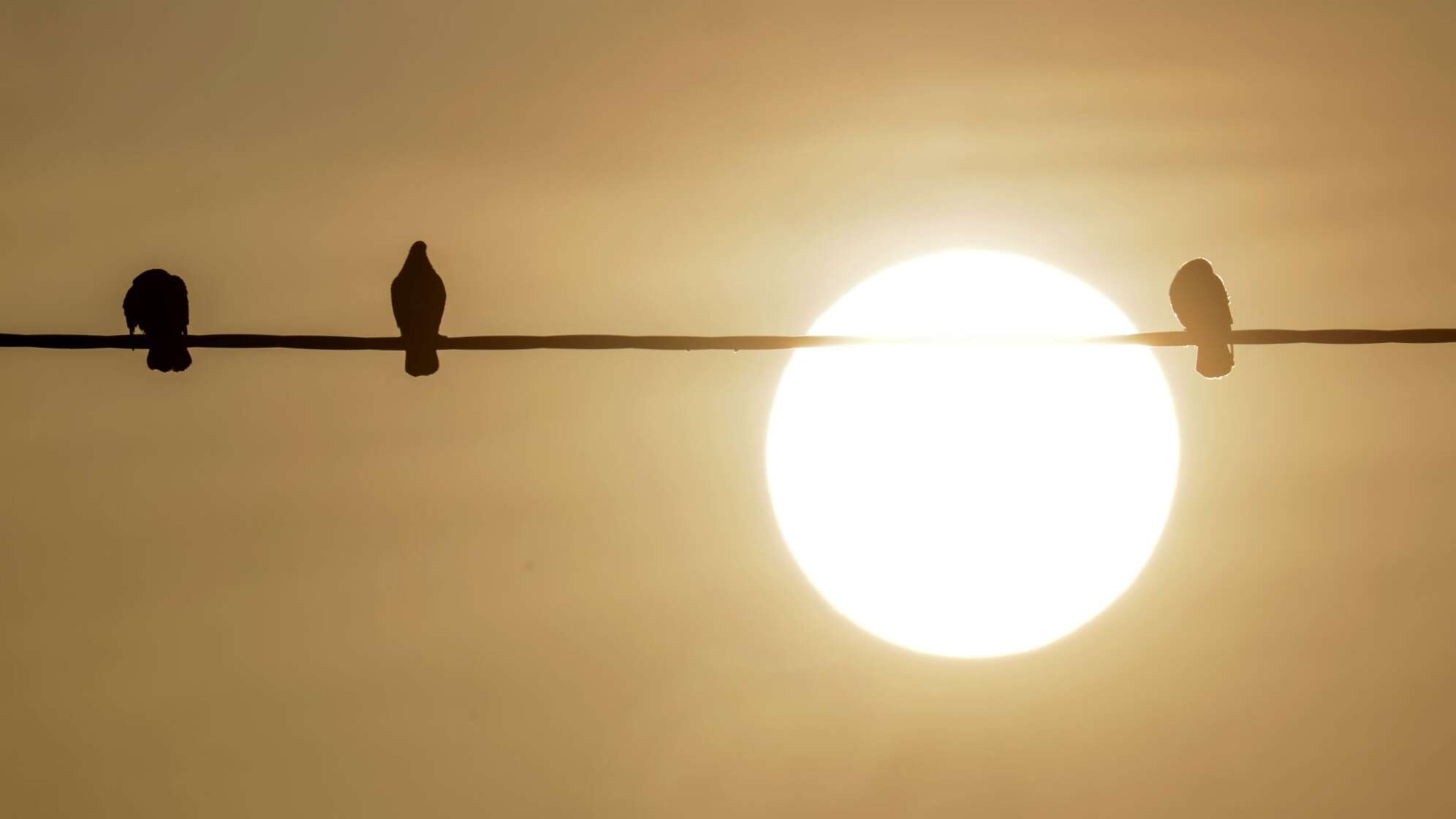 Saharastaub - trübe Sonne am grauen Himmel
