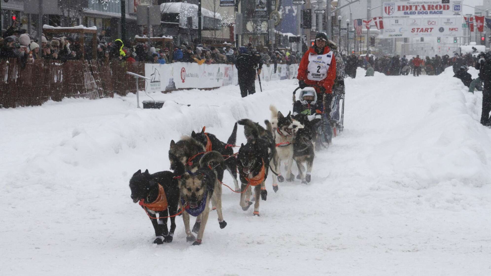 Schlittenhunderennen Iditarod