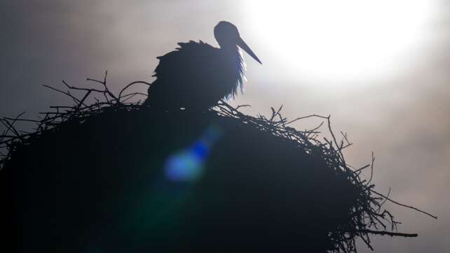 Am Wahlsonntag wird es frühlingshaft in Bayern