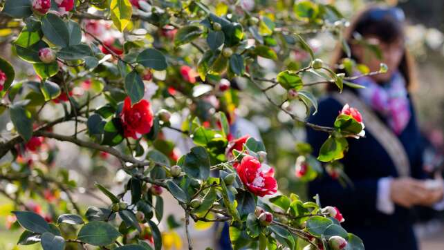 Neue Woche startet mit Sonne, Nebel und Schauern