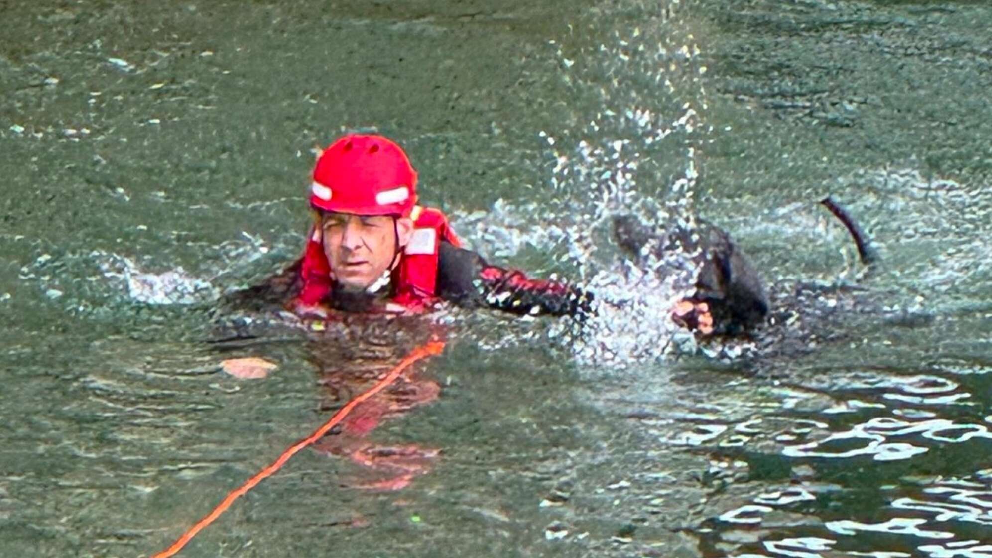 Feuerwehrtaucher rettet Hund nach Taubenjagd aus Isar