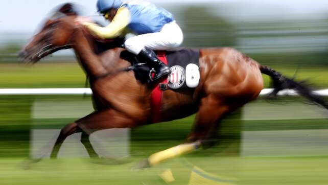 Mikrochip im Essen gehörte zu ehemaligem Rennpferd