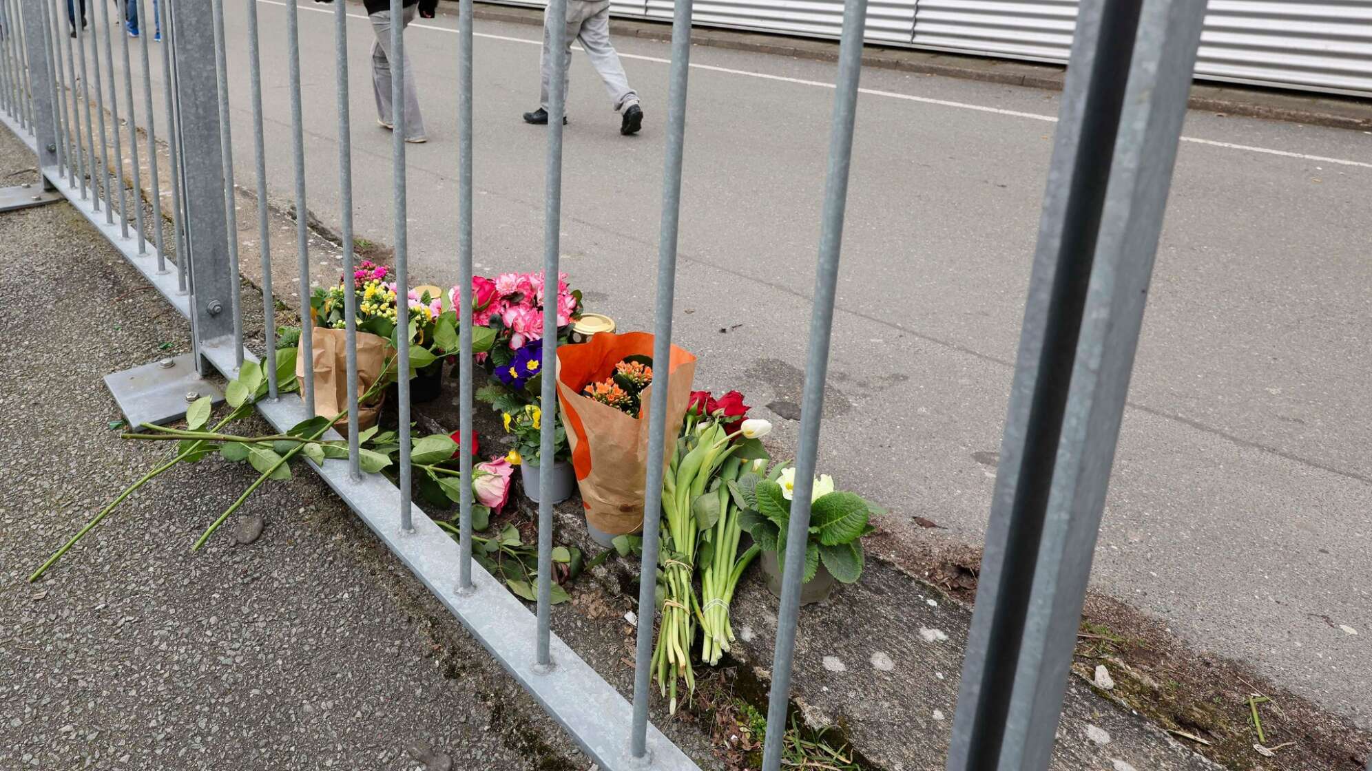 Tod eines Jugendlichen in Eckernförde