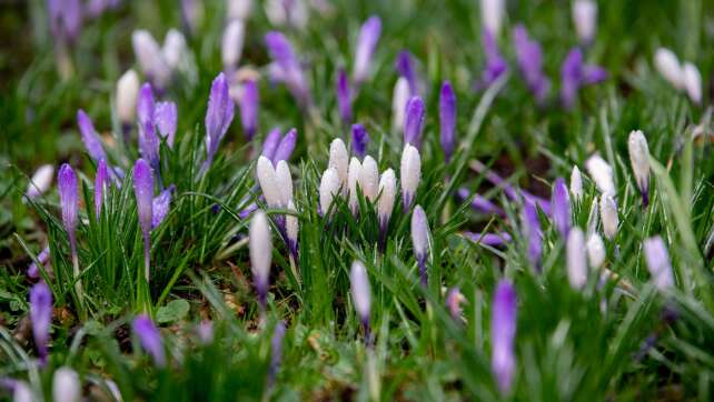 Wochenende startet wechselhaft, dann lockt die Sonne