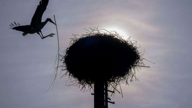 Sonne, Wolken, wenig Regen: Der Wochenstart wird wechselhaft