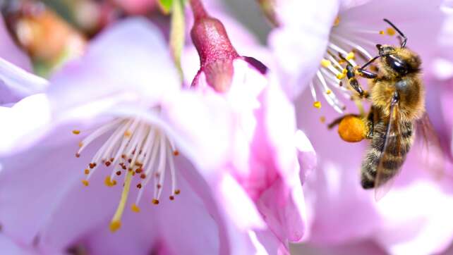Sonne, Wolken, Regen - Schnee: Aprilwetter pur