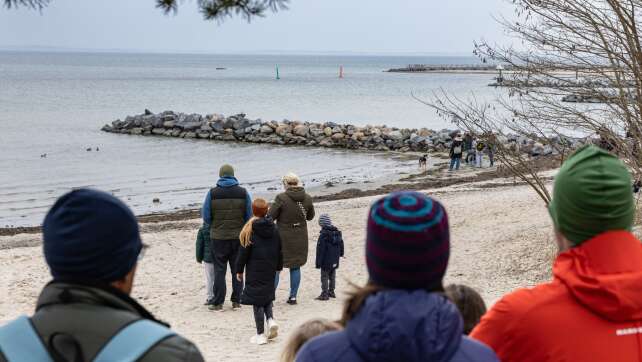Buckelwal vor Timmendorfer Strand weiter in Not