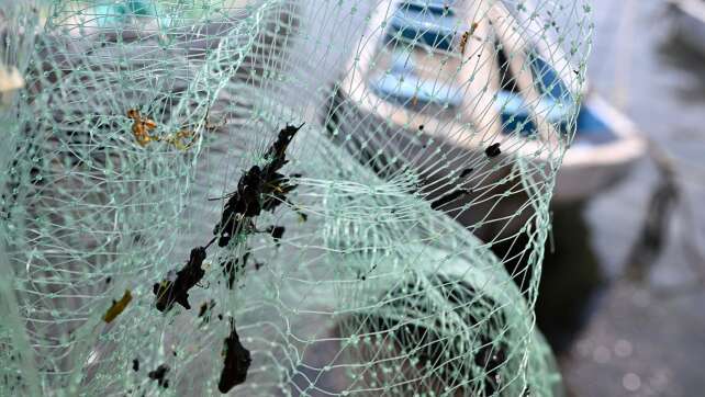 Ölpest in Mexiko: 2.000 Einsatzkräfte bei Reinigungsarbeiten