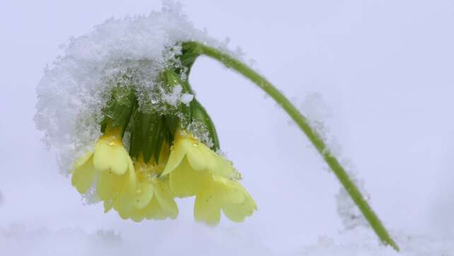 Osterferien in Bayern starten mit Regen, Schnee und Glätte