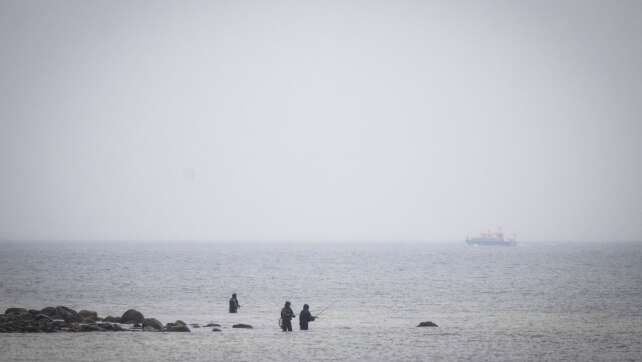 Suche nach Wal geht weiter - auch Sportboote könnten helfen