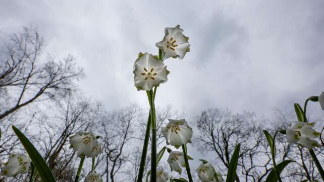 Nasskaltes Wetter und Schnee – Es bleibt ungemütlich