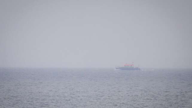 Experten prüfen mögliche Buckelwal-Sichtung bei Wismar