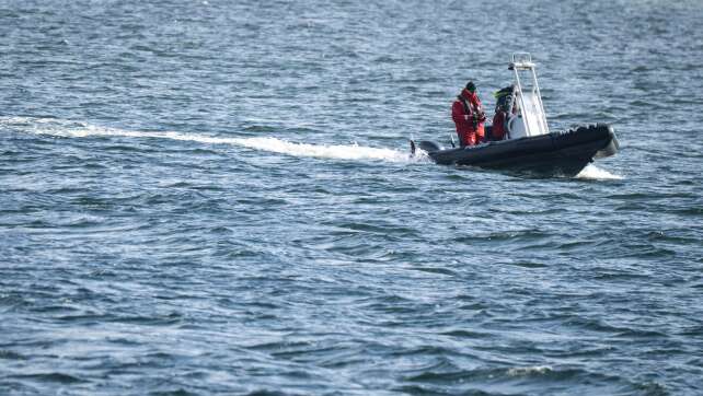 Buckelwal vor Ostseeküste ist abgetaucht