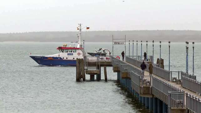 Boote suchen nach abgetauchtem Buckelwal