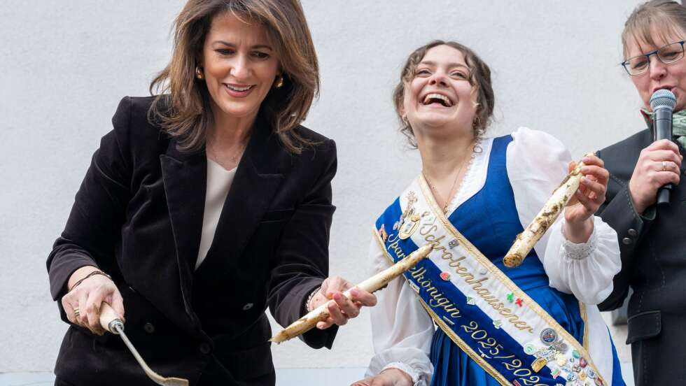 Spargelsaison 2026 in Bayern eröffnet: Wenig Spargel zu Ostern, aber hohe Qualität – Landwirtschaftsministerin Kaniber ruft zum Kauf von regionalem Spargel auf