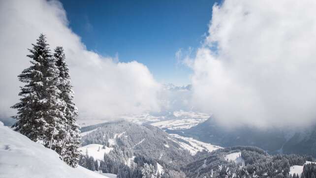 Drei Stunden Einsatz – Hund nach Absturz im Schnee gerettet