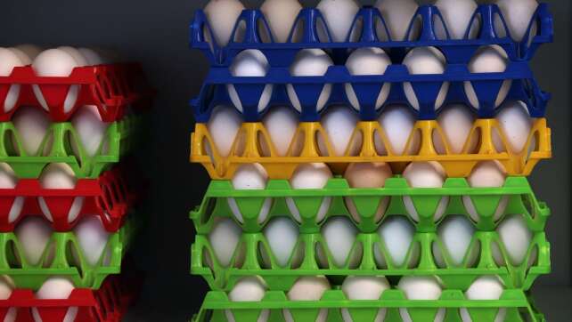 Mehr bayerische Eier - doch die Menge reicht nicht