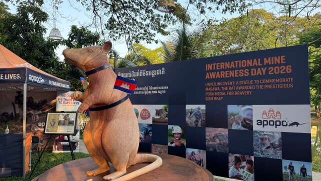 Denkmal für eine Ratte: Minenheld Magawa wird zur Legende