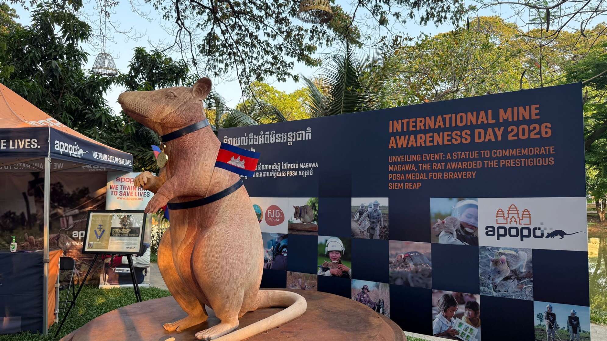 Statue für weltbekannte Minensuch-Ratte Magawa