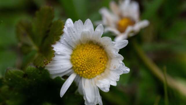 Schirm oder Sonnenbrille? So wird das Wetter zu Ostern