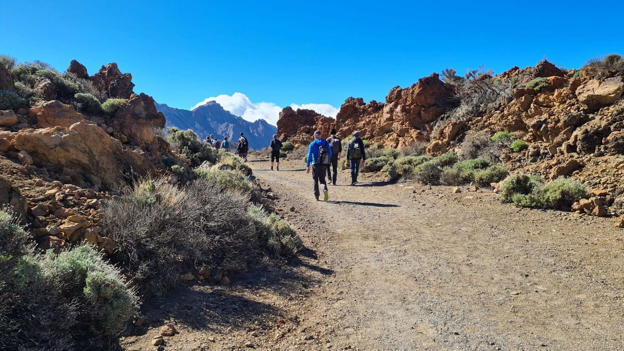 Vulkanlandschaft auf Teneriffa